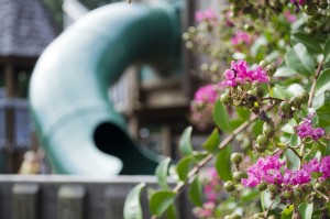 Arlington TN Parks Arlington TN Parks